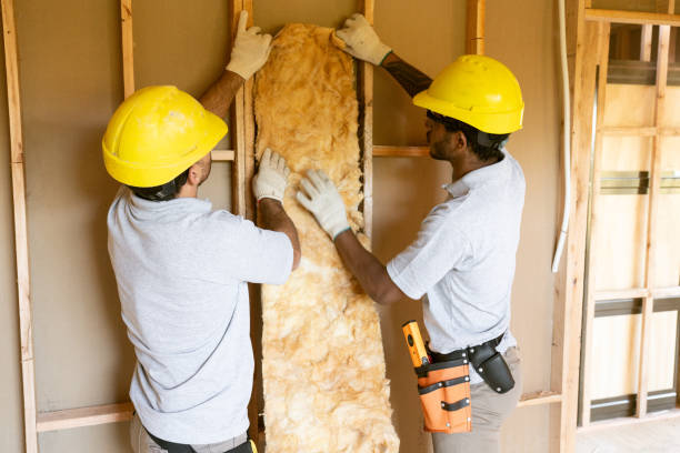 Best Commercial Insulation Services  in Ennis, TX